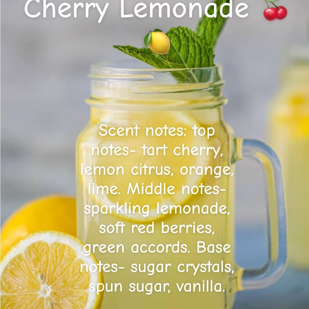🍒🍋 Cherry Lemonade Scented Freshie 🍋🍒